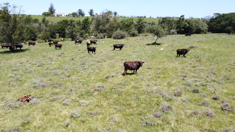  Bedroom Property for Sale in George Rural Western Cape